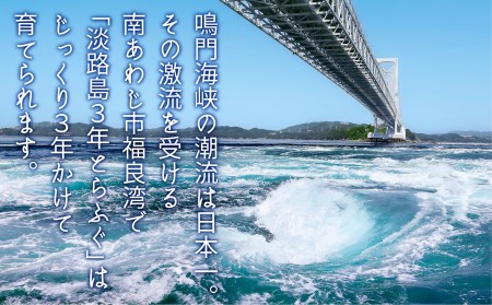 淡路島3年とらふぐ「てっちり」淡路野菜添えセット（2人前）◆期間限定～3/15