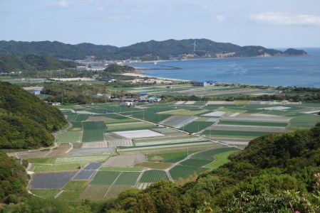 【新玉予約！】淡路島フルーツ玉ねぎ18kg