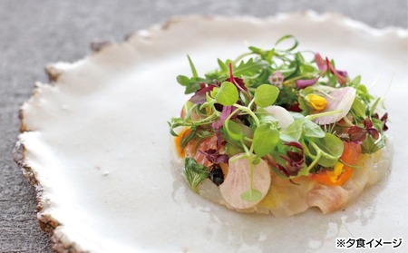 【ホテルアナガ】愛犬と過ごす ドギーヴィラ スタンダードルーム （オーベルジュステイ）1泊2名様夕朝食付