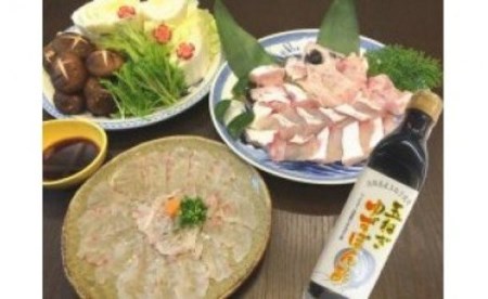 【淡路島玉ねぎ工房　善太】プリプリ旨味たっぷり！極上のクエ、鍋用500g（3～4人前）と刺身150gのセット♪淡路島玉ねぎポン酢付き！