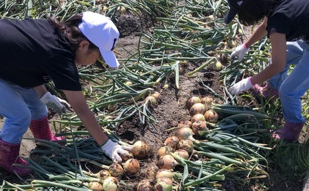 ★淡路島玉ねぎ★ 子供達も大好き!! あま～い玉ちゃん5kg☆ひょうご安心ブランド取得☆