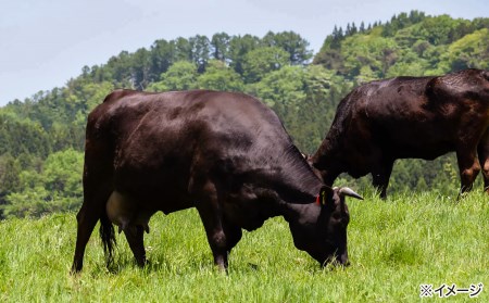 やみつき玉ねぎの淡路牛100%チーズINハンバーグ150g×10個(冷凍)