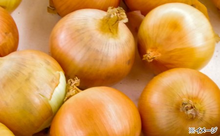 やみつき玉ねぎの淡路牛100%チーズINハンバーグ150g×10個(冷凍)