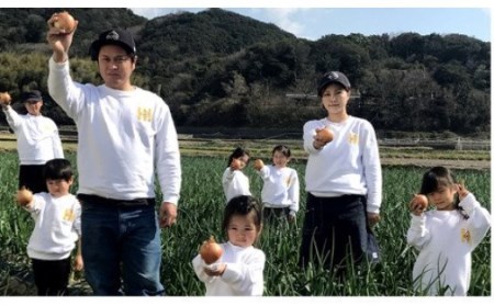 【ケンちゃんファーム】＼うまい玉ねぎできたでー／特別栽培・黄赤玉ねぎ食べ比べセット　3kg