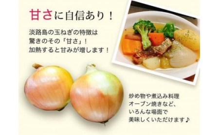 【あさひサンファーム】【大玉 5㎏】ひょうご安心ブランド★特別栽培★淡路島たまねぎ