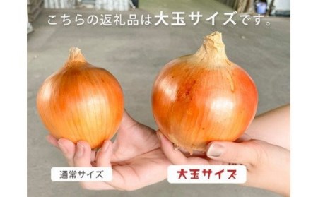 【あさひサンファーム】【大玉 5㎏】ひょうご安心ブランド★特別栽培★淡路島たまねぎ