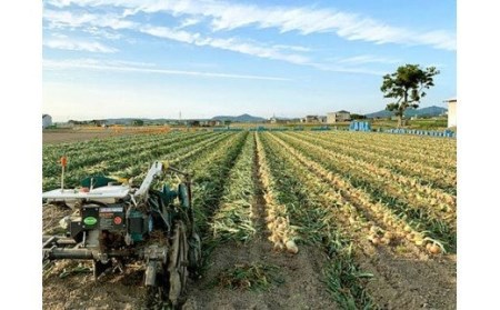 【あさひサンファーム】【大玉 5㎏】ひょうご安心ブランド★特別栽培★淡路島たまねぎ