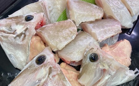 【花光】淡路産カワハギ鍋3人前(ウマヅラ)