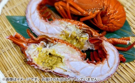 【花光】【年末年始配送日指定可】海老の王様!天然イセエビボイル(小2尾~3尾)【受取も安心♪冷凍便】