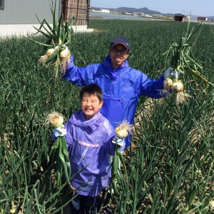 【youふぁーむ】【新玉予約】淡路島産新玉ねぎ ３kg ◆配送2月中旬～