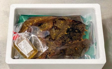 【花光】【あわじ島冬の珍味！身の柔らかい赤ナマコを活きたまま発送】淡路島産 赤なまこ（活）約800ｇ