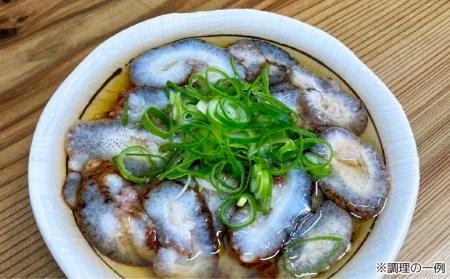 【花光】【あわじ島冬の珍味！身の柔らかい赤ナマコを活きたまま発送】淡路島産 赤なまこ（活）約2ｋｇ gergana.siteforgestudio.com