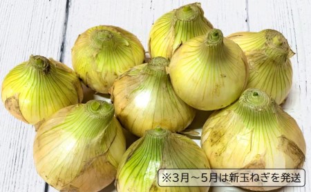 【12ヶ月定期便】 特別栽培の玉ねぎ 『戎珠（えびすたま）』 5kg