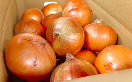 農家直送！【奈良農園】淡路島玉ねぎ ≪５kgサイズ色々≫
