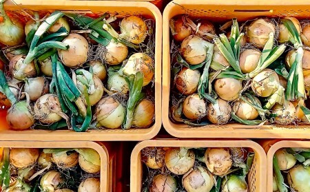 農家直送!【奈良農園】淡路島玉ねぎ ≪10kgサイズ色々≫