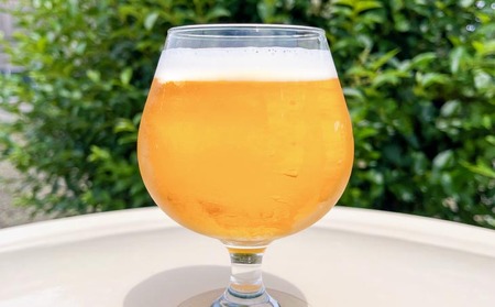 【淡路島のクラフトビール】ナミノオトブルーイングおまかせ24本セット