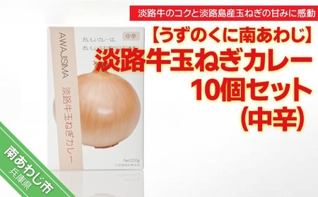 化学調味料不使用【淡路牛玉ねぎカレー（中辛）】10個セット