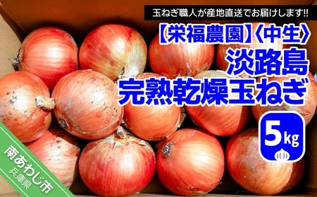 完熟乾燥玉ねぎ〈中生〉5kg◆配送7月中旬～