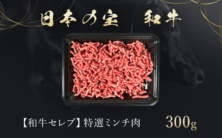 【和牛セレブ】神戸牛 特選ミンチ肉300g AS33CC3