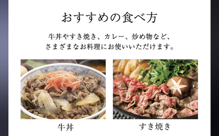 神戸牛 家庭用小間切れ600g（300ｇ×2P）AS17BB46