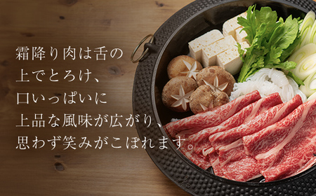 神戸牛 すき焼き 赤身 & 霜降り 特選セット 500g AS17C14