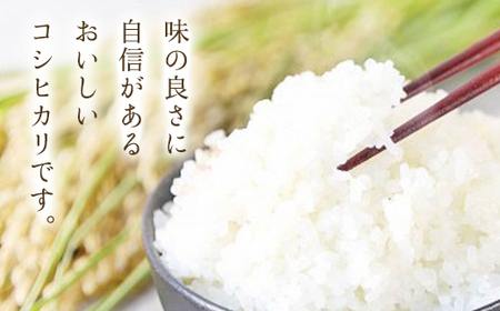 減農薬 三波農地を守る会のコシヒカリ（2kg）【玄米/白米】