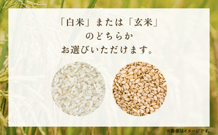 令和6年新米 減農薬 三波農地を守る会のコシヒカリ（5kg）【白米/玄米】 AS2BB20