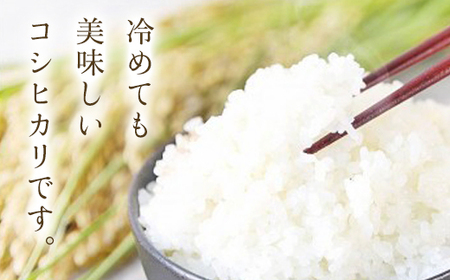 【令和6年新米先行予約/9月発送開始】＼3ヶ月 定期便／ 高本さんちのお米 コシヒカリ 5kg×1袋×3ヶ月【選べる白米/玄米】お米 米 ご飯 ごはん コシヒカリ こしひかり AS2DD2