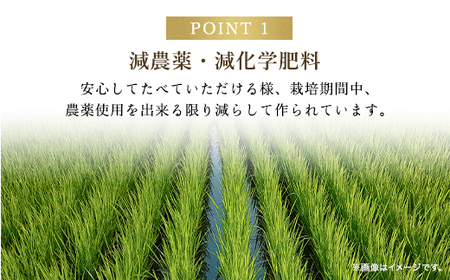 【令和6年新米先行予約/9月発送開始】高本さんちのお米 コシヒカリ【特別栽培米】5kg×5袋（一度にまとめて配送） AS2F5