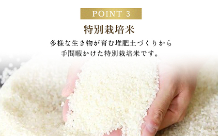 【令和6年新米先行予約/9月発送開始】高本さんちのお米 コシヒカリ【特別栽培米】5kg×5袋（一度にまとめて配送） AS2F5