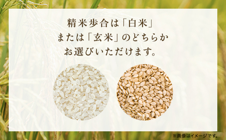 【令和6年新米先行予約/9月発送開始】＼3ヶ月 定期便／高本さんちのコシヒカリ5kg×2袋 全3回【白米/玄米】 AS2G1