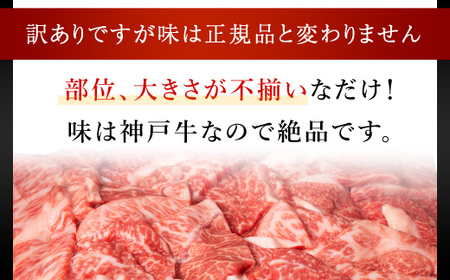 神戸牛 訳あり 焼肉用 2kg (500g×4P) AS8E8-ASGY4S | 神戸牛 焼肉 切り落とし 訳あり 神戸牛 焼肉 切り落とし 訳あり 神戸牛 焼肉 切り落とし 訳あり 神戸牛 焼肉 切り落とし 訳あり 神戸牛 焼肉 切り落とし 訳あり 神戸牛 焼肉 切り落とし 訳あり 神戸牛 焼肉 切り落とし 訳あり 神戸牛 焼肉 切り落とし 訳あり 神戸牛 焼肉 切り落とし 訳あり 神戸牛 焼肉 切り落とし 訳あり 神戸牛 焼肉 切り落とし 訳あり 神戸牛 焼肉 切り落とし 訳あり 神戸牛 焼肉 切り落とし 訳あり 神戸牛 焼肉 切り落とし 訳あり 神戸牛 焼肉 切り落とし 訳あり 神戸牛 焼肉 切り落とし 訳あり 神戸牛 焼肉 切り落とし 訳あり 神戸牛 焼肉 切り落とし 訳あり 神戸牛 焼肉 切り落とし 訳あり 神戸牛 焼肉 切り落とし 訳あり 神戸牛 焼肉 切り落とし 訳あり 神戸牛 焼肉 切り落とし 訳あり 神戸牛 焼肉 切り落とし 訳あり 神戸牛 焼肉 切り落とし 訳あり 神戸牛 焼肉 切り落とし 訳あり 神戸牛 焼肉 切り落とし 訳あり 神戸牛 焼肉 切り落とし 訳あり 神戸牛 焼肉 切り落とし 訳あり 神戸牛 焼肉 切り落とし 訳あり 神戸牛 焼肉 切り落とし 訳あり 神戸牛 焼肉 切り落とし 訳あり 神戸牛 焼肉 切り落とし 訳あり 神戸牛 焼肉 切り落とし 訳あり 神戸牛 焼肉 切り落とし 訳あり 神戸牛 焼肉 切り落とし 訳あり 神戸牛 焼肉 切り落とし 訳あり 神戸牛 焼肉 切り落とし 訳あり 神戸牛 焼肉 切り落とし 訳あり 神戸牛 焼肉 切り落とし 訳あり 神戸牛 焼肉 切り落とし 訳あり 神戸牛 焼肉 切り落とし 訳あり 神戸牛 焼肉 切り落とし 訳あり 神戸牛 焼肉 切り落とし 訳あり 神戸牛 焼肉 切り落とし 訳あり 神戸牛 焼肉 切り落とし 訳あり 神戸牛 焼肉 切り落とし 訳あり 神戸牛 焼肉 切り落とし 訳あり 神戸牛 焼肉 切り落とし 訳あり 神戸牛 焼肉 切り落とし 訳あり 神戸牛 焼肉 切り落とし 訳あり 神戸牛 焼肉 切り落とし 訳あり 神戸牛 焼肉 切り落とし 訳あり 神戸牛 焼肉 切り落とし 訳あり 神戸牛 焼肉 切り落とし 訳あり 神戸牛 焼肉 切り落とし 訳あり 2kg 2キロ 2kg 2キロ 2kg 2キロ