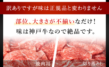 神戸牛 訳あり 切り落とし肉 ・焼肉用  1.6kg (400g×4P) 牛肉 黒毛和牛 太田家