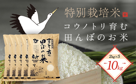 ＜令和6年新米先行予約 / 9月中旬発送開始予定＞特別栽培米 コウノトリ育む田んぼのお米 10kg（2kg×5袋）〈村上ファーム〉 お米 おこめ 米 こめ コメ ご飯 ごはん 白米 10キロ 10kg 兵庫県 朝来市 AS1CA3