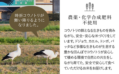 新米・令和4年産】特別栽培米 コウノトリ育むお米（無農薬）白米