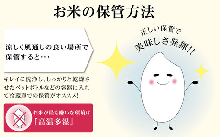 【先行予約】令和7年産 新米 兵庫の1級河川 円山川源流域で育まれた朝来市産コシヒカリ(白米)10kg(5kg×2袋) 【 先行予約 令和7年産 新米 コシヒカリ 10kg お米 米 コメ こめ 安心 安全 良質 美味しい 甘み 旨味 兵庫県 朝来市 竹田城跡 円山川源流域 川の最上流域なので水のきれいさピカイチ!! 】