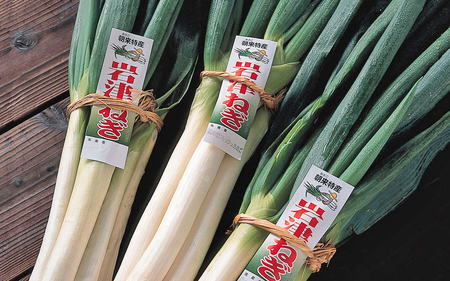 【朝来市ふるさと納税限定】 先行予約 岩津ねぎのキムチ 4箱600g AS2AA5-4