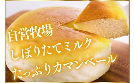 【2021年4月以降順次発送】ジャージー牧場らいらっくチーズケーキ【配送不可:離島】
