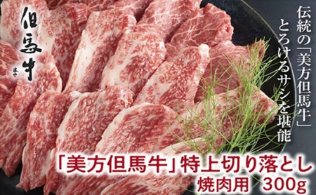 【美方但馬牛】特上切り落し300g(焼肉用)