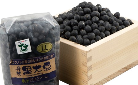 香り芳ばしい!大粒『丹波黒大豆』350g【2020年産の新豆】