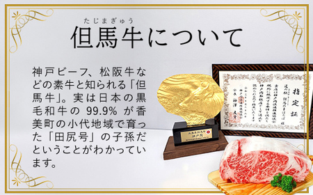 【但馬牛】特上切り落し300g×２パック(焼肉用) AS1CA15