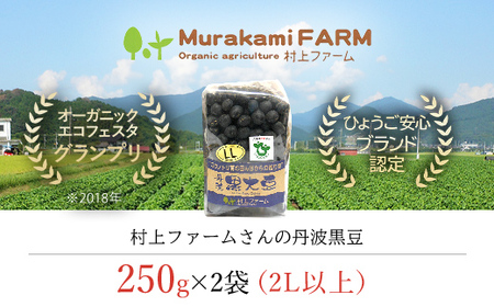 村上ファームさんの丹波黒豆250g（2L以上）×2個セット 丹波黒大豆 丹波黒豆 丹波黒 黒豆 黒大豆 大豆 ダイズ 黒ダイズ クロマメ くろまめ 大粒 有機JAS認証 無農薬栽培 煮豆 おせち おせち料理 お正月 正月料理 兵庫県 朝来市 AS1BA19