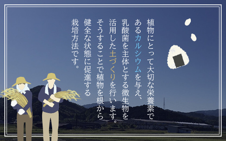 【令和6年産 新米】【但馬初！自然にやさしいカルテック農法】但馬産コシヒカリ むすびの匠米 5kg 兵庫県 朝来市 AS1BB16 新米 新米 新米 新米 新米 新米 新米 新米 新米 新米 新米 新米 新米 新米 新米 新米 新米 新米 新米 新米 新米 新米 新米 新米 新米 新米 新米 新米 新米 新米 新米 新米 新米 コシヒカリ こしひかり コシヒカリ こしひかり コシヒカリ こしひかり コシヒカリ こしひかり コシヒカリ こしひかり コシヒカリ こしひかり コシヒカリ こしひかり コシヒカリ こしひかり コシヒカリ こしひかり コシヒカリ こしひかり コシヒカリ こしひかり コシヒカリ こしひかり コシヒカリ こしひかり コシヒカリ こしひかり コシヒカリ こしひかり コシヒカリ こしひかり コシヒカリ こしひかり コシヒカリ こしひかり コシヒカリ こしひかり コシヒカリ こしひかり コシヒカリ こしひかり コシヒカリ こしひかり コシヒカリ こしひかり コシヒカリ こしひかり コシヒカリ こしひかり コシヒカリ こしひかり コシヒカリ こしひかり コシヒカリ こしひかり コシヒカリ こしひかり コシヒカリ こしひかり コシヒカリ こしひかり