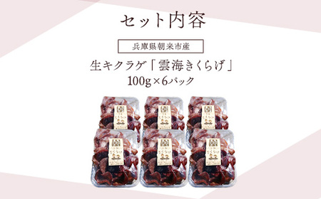 国産無農薬 生キクラゲ600g『雲海きくらげ』(100g×6パック