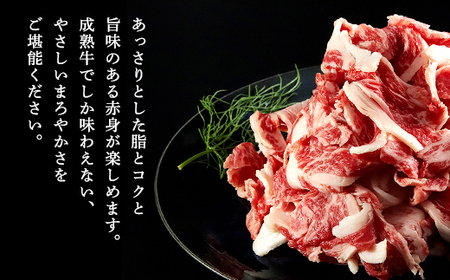 経産但馬牛訳あり 切落し肉 500g 兵庫県 朝来市 AS2BB17