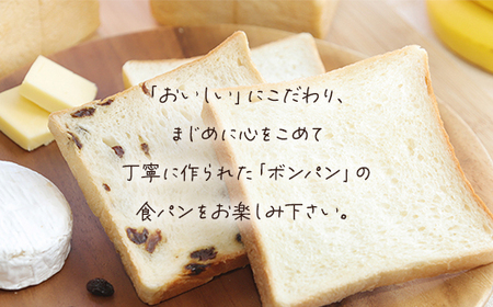 【1斤あたり6枚切り】ふんわりもっちり食パン2斤とたっぷりレーズン食パン1斤セット AS2AB25-6cut