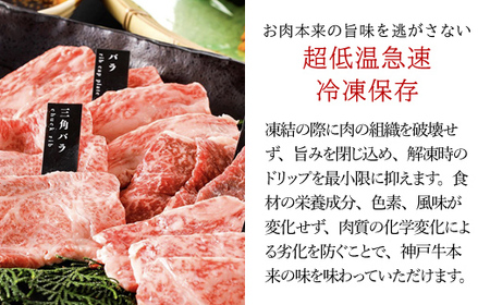 厳選 神戸牛焼肉食べ比べ５種盛【500g】タレ付（醤油タレ、味噌タレ） AS14EE2