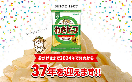山芳製菓のポテトチップス　わさビーフ(50g×12袋)＆オリジナルグッズセット【1325146】