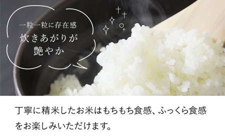 【令和6年産 新米】竹田城跡の麓 吉田農場の美味しいコシヒカリ(白米)20kg 兵庫県 朝来市 AS1DE2 お米 米 おこめ ごはん ご飯 こしひかり 白米 新米 新米 新米 新米 新米 新米 新米 新米 新米 新米 新米 新米 新米 新米 新米 新米 新米 新米 新米 新米 新米 新米 新米 新米 新米 新米 新米 新米 新米 新米 新米 新米 新米 新米 コシヒカリ こしひかり コシヒカリ こしひかり コシヒカリ こしひかり コシヒカリ こしひかり コシヒカリ こしひかり コシヒカリ こしひかり コシヒカリ こしひかり コシヒカリ こしひかり コシヒカリ こしひかり コシヒカリ こしひかり コシヒカリ こしひかり コシヒカリ こしひかり コシヒカリ こしひかり コシヒカリ こしひかり コシヒカリ こしひかり コシヒカリ こしひかり コシヒカリ こしひかり コシヒカリ こしひかり コシヒカリ こしひかり コシヒカリ こしひかり コシヒカリ こしひかり コシヒカリ こしひかり コシヒカリ こしひかり コシヒカリ こしひかり コシヒカリ こしひかり コシヒカリ こしひかり コシヒカリ こしひかり コシヒカリ こしひかり コシヒカリ こしひかり コシヒカリ こしひかり コシヒカリ こしひかり