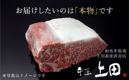 但馬玄(R) 肩ロースうす切り 500g AS26F21